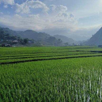2 Day Sapa Hiking Tour by Sleeper Bus